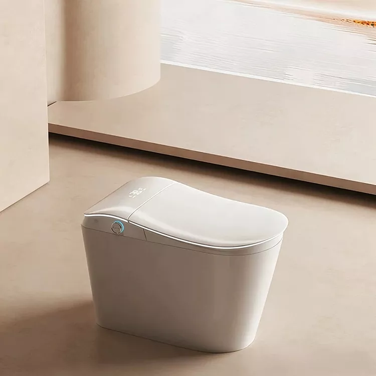Toilette intelligente cù filtru d'acqua integratu è scarico attivatu da i pedi