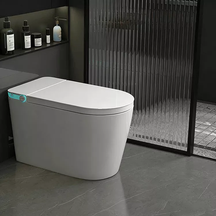 Toilette intelligente per sterilizzazione di ugello di spruzzo cuntrullatu à distanza senza filu